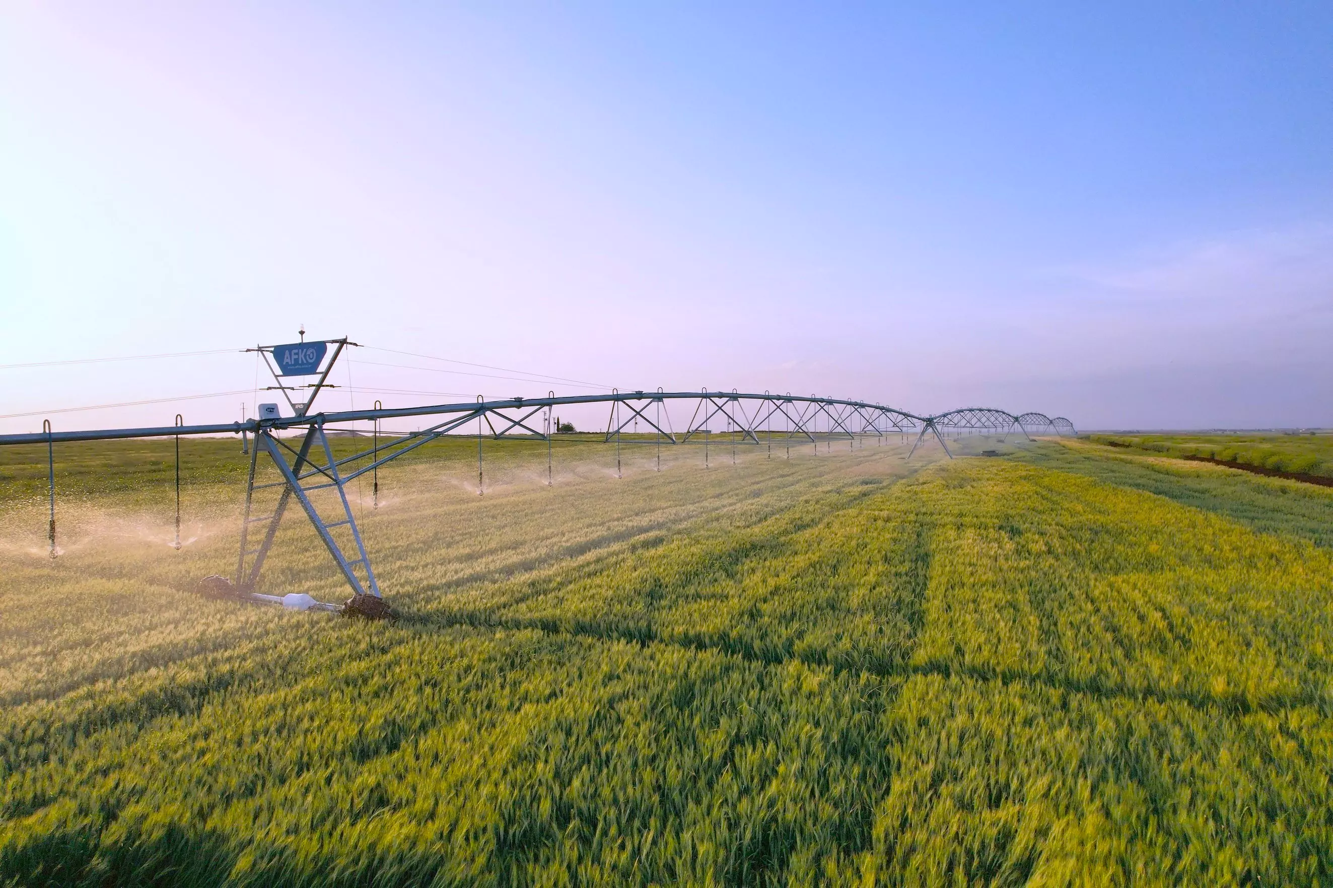 Products Banner Image