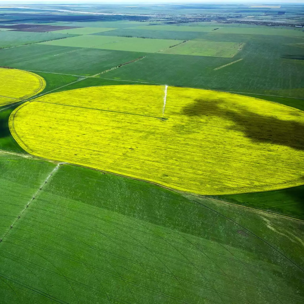 AFKO Pivot Irrigation