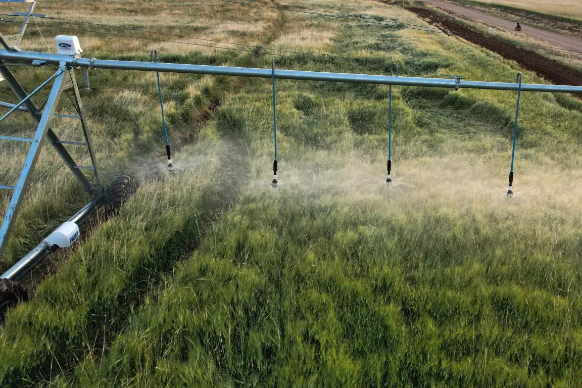 Irrigation Sprinklers